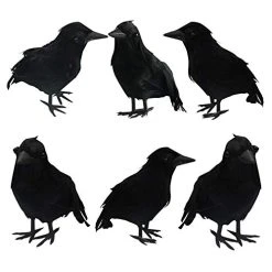 FUNPENY Halloween Black Feathered Crows, Lifelik Halloween Decoration Birds With Real Feather (6 Pack)