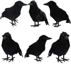 FUNPENY Halloween Black Feathered Crows, Lifelik Halloween Decoration Birds With Real Feather (6 Pack) -Funpeny Shop 410sedHqigL. AC 1