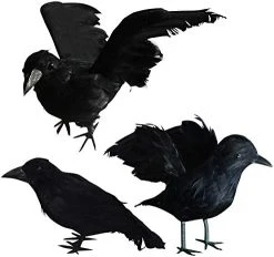 FUNPENY Halloween Black Feathered Crows, Lifelik Halloween Decoration Birds With Real Feather (12 Pack) -Funpeny Shop 4174qzdBj2L. AC