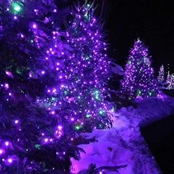 FUNPENY 240 LED Halloween String Lights, 78 FT Waterproof Black Wire Fairy Lights Plug In, 8 Lighting Modes Halloween Lights Decorations For Indoor Outdoor Garden Party (Purple) -Funpeny Shop 510Qy2G StL