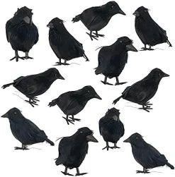 FUNPENY Halloween Black Feathered Crows, Lifelik Halloween Decoration Birds With Real Feather (6 Pack) -Funpeny Shop 5172cKvjGYL. AC 1