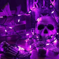FUNPENY Halloween 50 LED Mini String Lights, 16FT Battery Operated 8 Modes Waterproof Fairy Lights, Halloween Decorations For Indoor Outdoor Garden -Funpeny Shop 51DLV7iJrYL