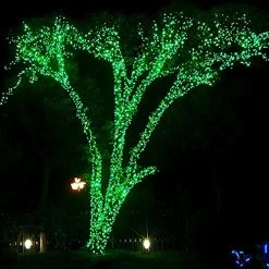 FUNPENY 85 FT 240 LED St. Patrick's Day String Lights, Waterproof Extendable Green Wire Fairy String Lights Plug In, 8 Modes Christmas Indoor Outdoor Yard Garden Wedding Party Decorations (Green) -Funpeny Shop 51FMuNmwFvL
