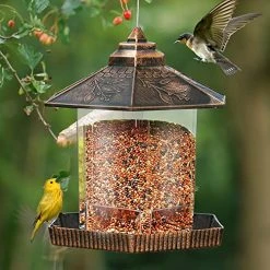 Funpeny Hanging Wild Bird Feeder For Outside, Outdoors, Bird Seed Feeders Clearance Squirrel Proof -Funpeny Shop 51IBKGyME9L