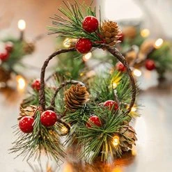 FUNPENY Christmas PineCones String Lights, 6.56Ft 20 LED Pine Needles Red Berries Fall Light Garland, Indoor Outdoor Decor For Thanksgiving Christmas Autumn Themed Party Decorations -Funpeny Shop 51SnE7aqi L