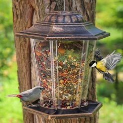 FUNPENY Hanging Wild Bird Feeder, Panorama Gazebo Bird Feeders And Garden Decoration For Bird Watchers And Children (1 Pack) -Funpeny Shop 51arpjgDZAL
