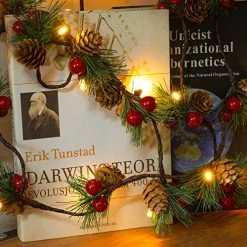 FUNPENY Christmas PineCones String Lights, 6.56Ft 20 LED Pine Needles Red Berries Fall Light Garland, Indoor Outdoor Decor For Thanksgiving Christmas Autumn Themed Party Decorations -Funpeny Shop 51lNoGNaNoL