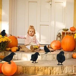 FUNPENY Halloween Black Feathered Crows, Lifelik Halloween Decoration Birds With Real Feather (6 Pack) -Funpeny Shop 51nyXNlVW L 1