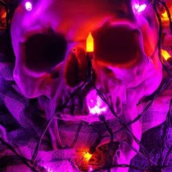 FUNPENY Halloween 50 LED Clear Mini String Lights, 16 FT Battery Operated Waterproof Fairy Lights With 8 Lighting Modes, Indoor Outdoor Garden Decorations(Purple & Orange,2 Pack) -Funpeny Shop 51ovsiSVnLL