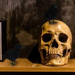 FUNPENY Halloween Black Feathered Crows, Lifelik Halloween Decoration Birds With Real Feather (6 Pack) -Funpeny Shop 51wPx2ziSPL