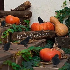 FUNPENY Halloween Black Feathered Crows, Lifelik Halloween Decoration Birds With Real Feather (12 Pack) -Funpeny Shop 51y5cHeIQHL