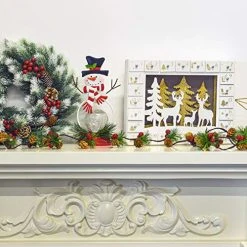 FUNPENY Christmas PineCones String Lights, 6.56Ft 20 LED Pine Needles Red Berries Fall Light Garland, Indoor Outdoor Decor For Thanksgiving Christmas Autumn Themed Party Decorations -Funpeny Shop 51zAaFXq6WL