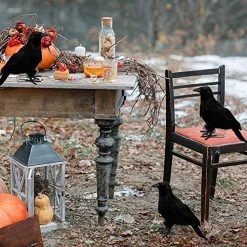 FUNPENY Halloween Black Feathered Crows, Lifelik Halloween Decoration Birds With Real Feather (6 Pack) -Funpeny Shop 612TJ9TBkrL