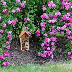 FUNPENY Wooden Insect House, Insect Hotel With Brush For Butterfly, Bees And Ladybugs -Funpeny Shop 616fR6h60wL