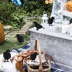 FUNPENY Halloween Black Feathered Crows, Lifelik Halloween Decoration Birds With Real Feather (6 Pack) -Funpeny Shop 61ASVNfZlL 1