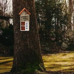 FUNPENY Wooden Insect House, Insect Hotel With Brush For Butterfly, Bees And Ladybugs -Funpeny Shop 61JeMl3oleL 1