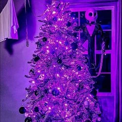 FUNPENY Halloween 50 LED Clear Mini String Lights, 16 FT Battery Operated Waterproof Fairy Lights With 8 Lighting Modes, Halloween Decorations For Indoor Outdoor Garden Party(Purple,2 Pack) -Funpeny Shop 61fShOJn8XL