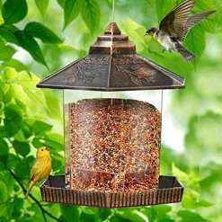 Funpeny Hanging Wild Bird Feeder For Outside, Outdoors, Bird Seed Feeders Clearance Squirrel Proof -Funpeny Shop 61lYTIUHvPL