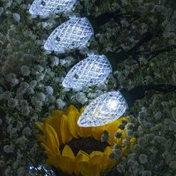 FUNPENY C9 Christmas String Lights, 50 LED 33ft Outdoor Fairy Lights Extendable Green Wire String Lights For Patio Xmas Tree Wedding Party House Decoration (White) -Funpeny Shop 61meHkZKAXL